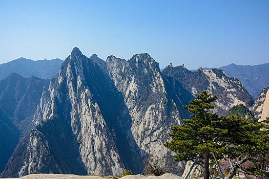 华山春日盛景