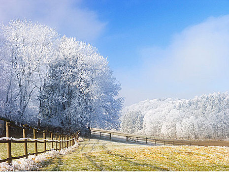 霜,地点,巴伐利亚,德国