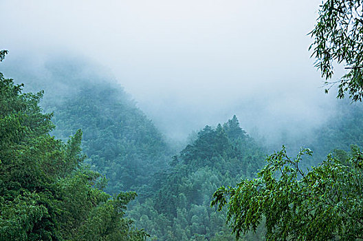 雨雾山景