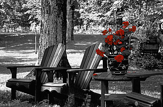 花园椅,红花,容器