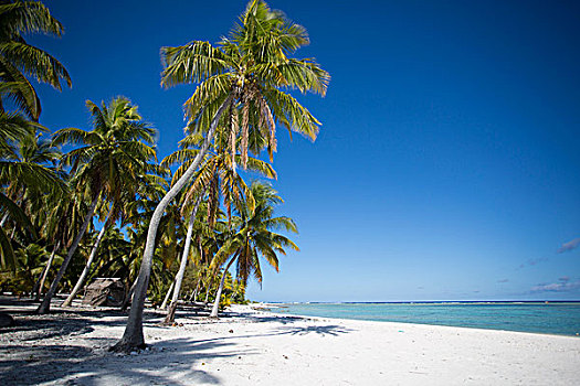 库克群岛,岛屿,热带海岛,蓝天,白沙滩
