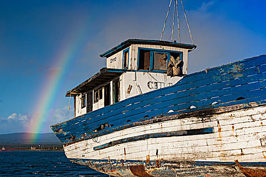 智利,麦哲伦省,区域,波多黎各,湾,渔船,彩虹