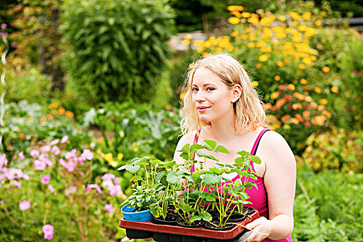 园艺,年轻,金发女郎,草莓,幼苗,植物,花园