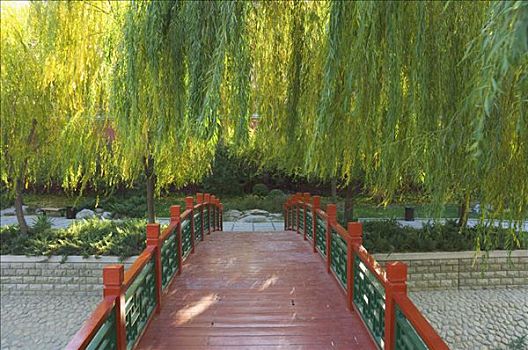 木桥,公园,北京,中国