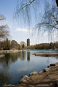 北京大学