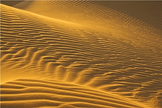 沙丘,落日