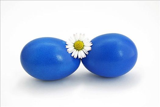两个,蓝色,蛋,复活节彩蛋,雏菊