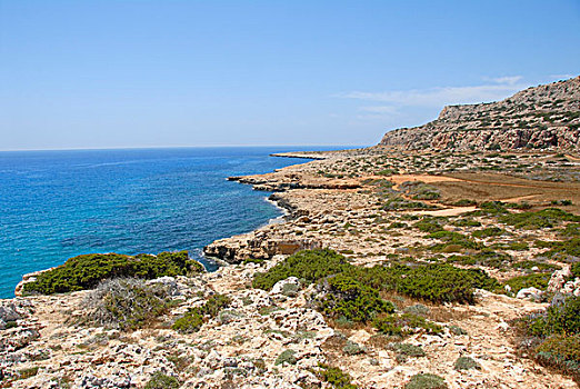 岩石海岸,悬崖,蓝色,海洋,帽,南方,塞浦路斯,塞浦路斯共和国,地中海,欧洲