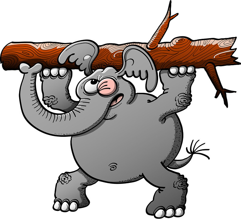 灰色_大象_制作_大_努力_举起_树干_眨眼_平衡_后腿_展示_烦恼_高清