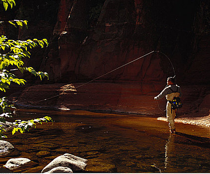 男人,飞钓,橡树溪峽谷,亚利桑那,美国