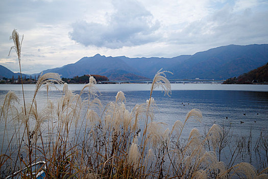 日本富士山河口湖