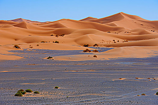 沙丘,却比沙丘,梅如卡,撒哈拉沙漠,摩洛哥,非洲