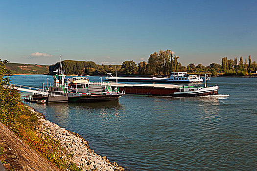 德国,莱茵河,渡轮