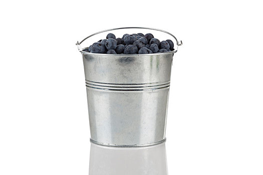 蓝莓,隔绝,桶