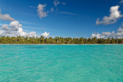 梦幻爱情海滩,沙滩,棕榈树,蓝绿色海水,阴天,公园,岛屿,绍纳岛,加勒比,多米尼加共和国,中美洲