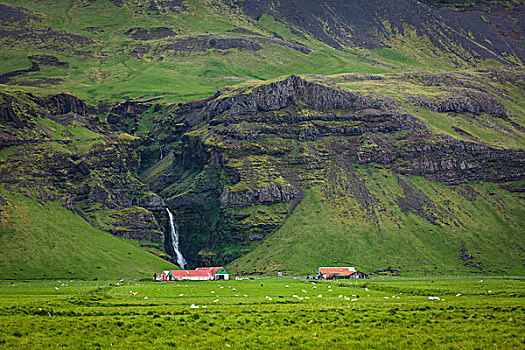 风景,农场,冰岛