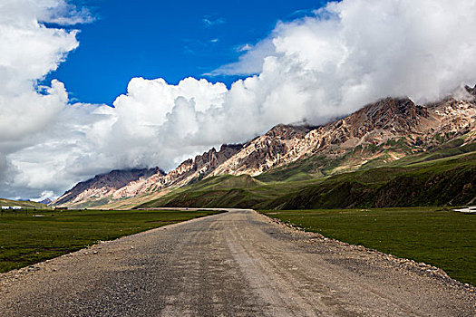 路的风景