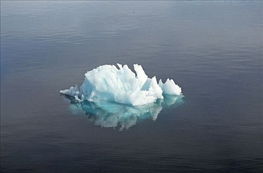 一个,冰山,西部,海岸,格陵兰