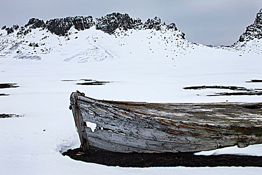 南极,南设得兰群岛,残留,木质,休息,雪中,捕鲸站,小湾,欺骗岛