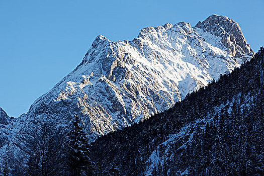 山,冬天,提洛尔,奥地利,欧洲