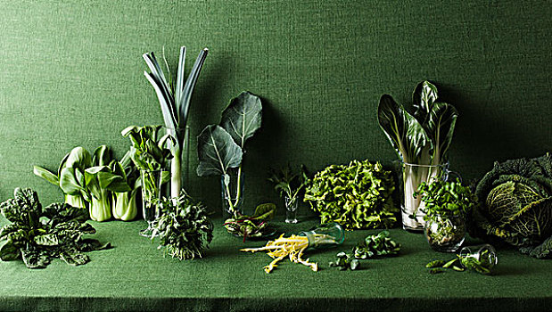 种类,绿色食品,绿色,桌子
