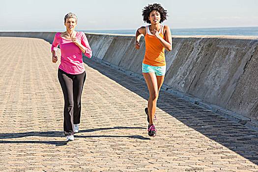两个,运动,女人,慢跑,一起,散步场所