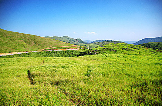 万亩大草原