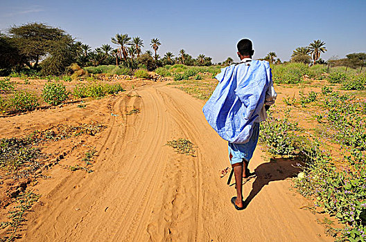 男人,穿,蓝色,走,绿洲,靠近,阿德拉尔,区域,毛里塔尼亚,非洲