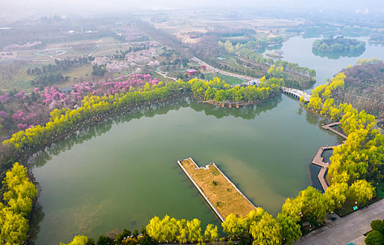 大明宫春景