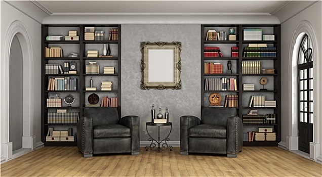 奢华,客厅,大,书架,扶手椅