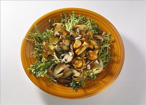 蘑菇沙拉,皱叶苦苣