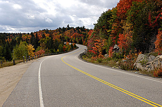 弯曲,道路,区域,安大略省,加拿大