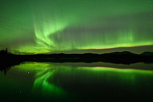 北极光,反射,湖,国家公园,瑞典,欧洲