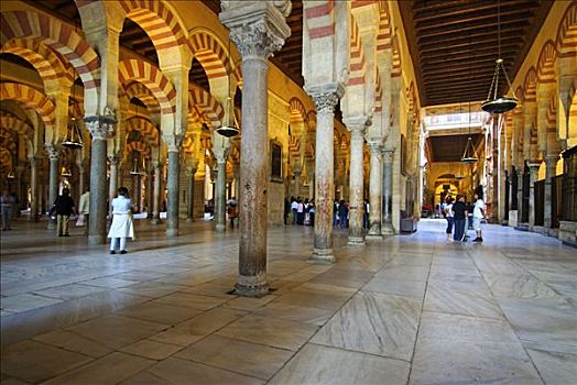 室内,树林,柱子,大教堂,科多巴,安达卢西亚,西班牙,欧洲