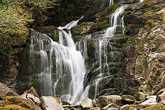 托克瀑布,基拉尼国家公园,凯瑞郡,爱尔兰,英国,欧洲