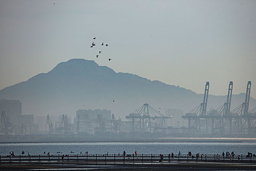 湿地,北戴河,秦皇岛,海滩,大潮坪,鸽子窝,落潮,涨潮,环保,保护