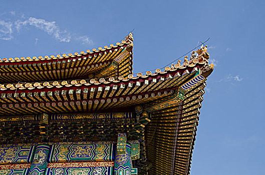 中国,北京,故宫,帝王,宫殿,明代,清朝,华丽,庙宇,大门,建筑,盖屋顶细节