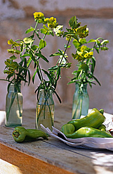 野花,小,玻璃瓶,旁侧,盘子,青椒,木桌子