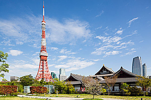 东京塔,公园,高层建筑,背景,东京港区,东京,日本