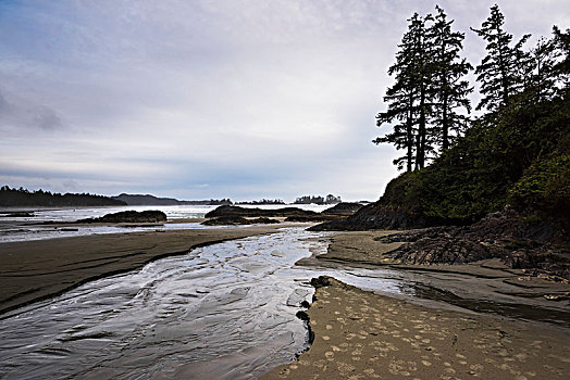 水流,流动,海滩,海洋,不列颠哥伦比亚省,加拿大