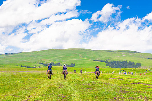 夏季的新疆喀拉峻草原上,几匹马上带着游客正慢慢走向远处的山坡