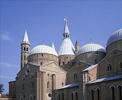 帕多瓦,大教堂,威尼托,意大利