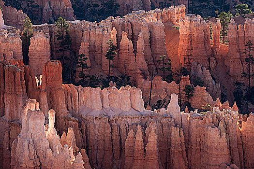 风景,圆形剧场,灵感,色彩,岩石构造,仙人烟囱岩,晨光,布莱斯峡谷国家公园,犹他,美国,北美