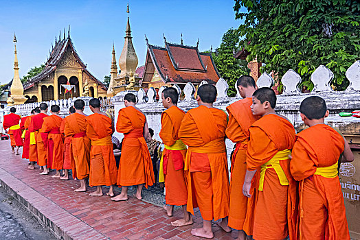 年轻,僧侣,施舍,给,典礼,正面,寺院,琅勃拉邦,老挝
