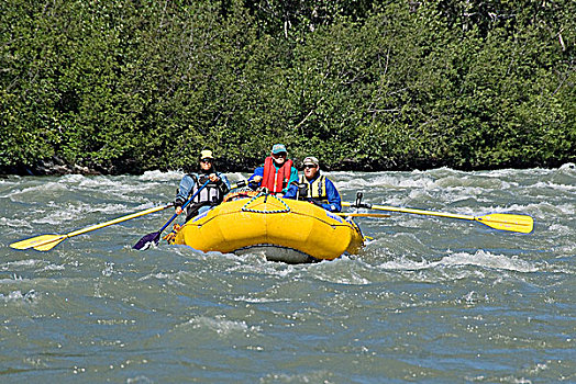 筏,漂浮,急流,塔琴希尼河,育空地区,加拿大,夏天