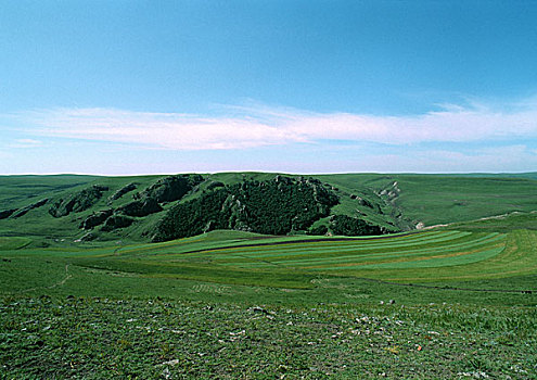 蒙古,草,平原,遮盖,悬崖