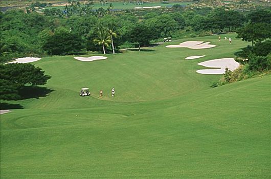 夏威夷,夏威夷大岛,南,高尔夫球场,打高尔夫,草地
