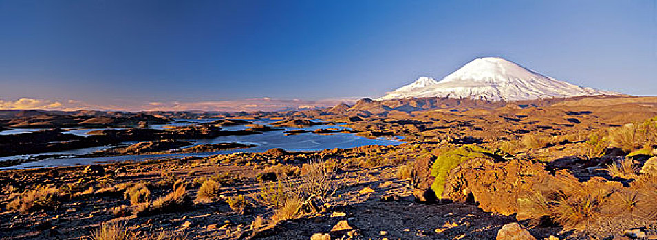 火山,智利,局部,拉乌卡国家公园,高原,生物保护区,大