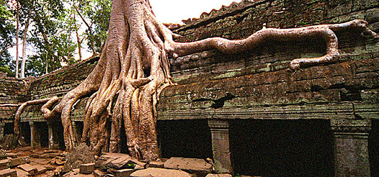 柬埔寨,塔普伦寺