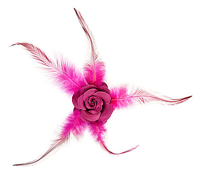 粉红玫瑰,布,羽毛